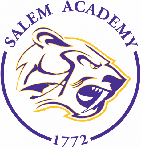 Academy Sabers Logo